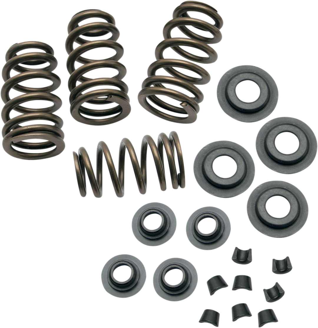 S&S CYCLE Valve Spring Kit - 0.650" - Sidewinder® - Twin Cam '99-'04 | XL '86-'03 900-0050