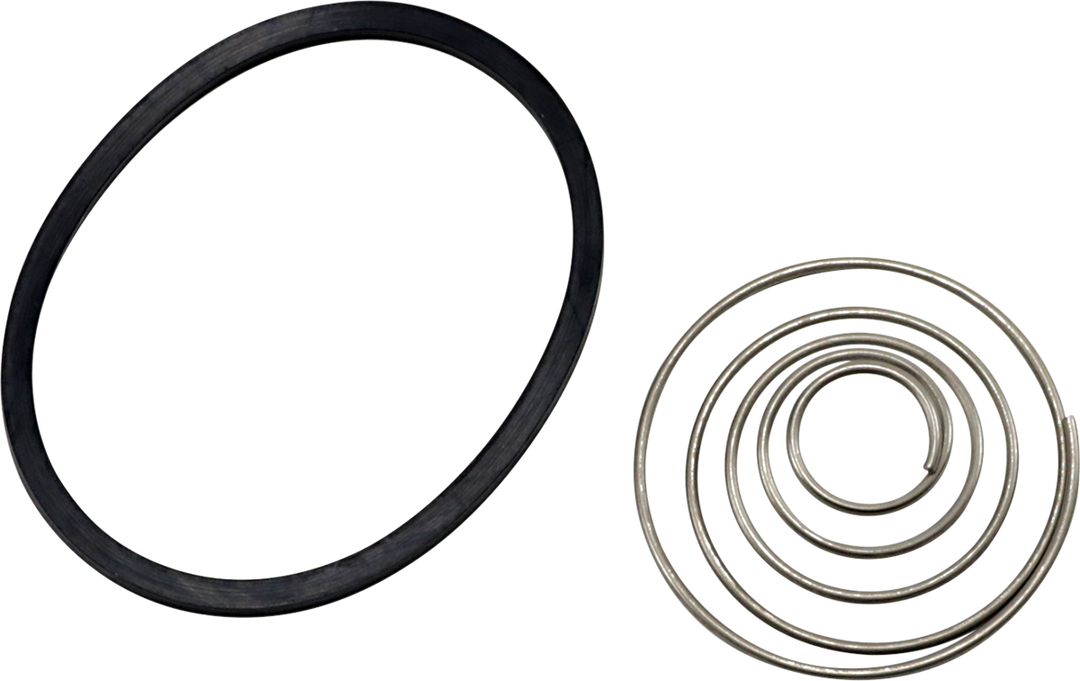 ARLEN NESS Replacement Spring and Oil Ring Set 03-465