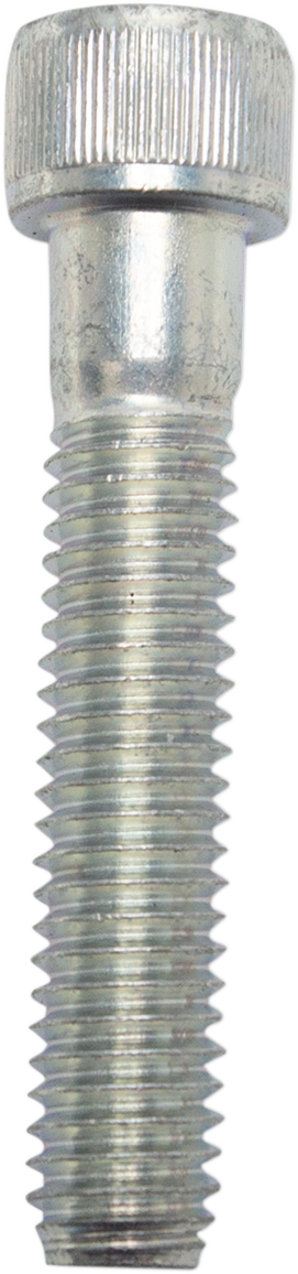 S&S CYCLE Socket Head Cap Screw - 3/8-16 X 2" 50-0164
