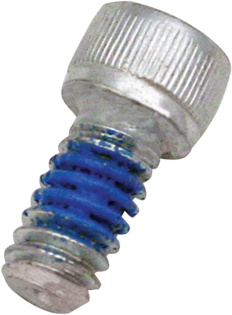 S&S CYCLE Replacement Air Cleaner Screw - Backplate - 1/4"-20 x 1/2" 106-2084
