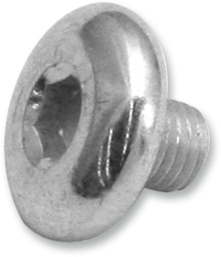 S&S CYCLE Replacement Air Cleaner Screw - Breather Screw - 5/16" 17-0346