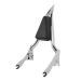 Chrome Detachable Havoc Sissy Bar Backrest for Harley® Touring '09-'26
