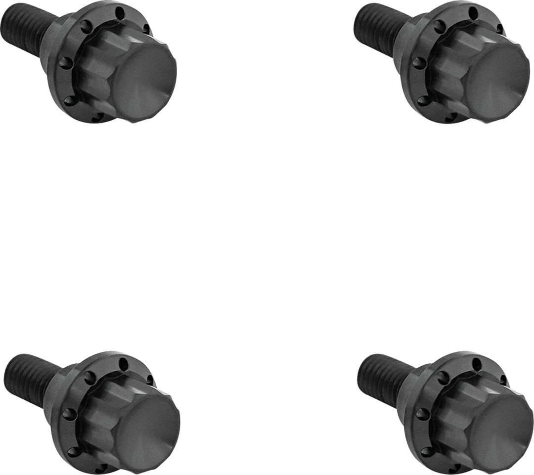 ARLEN NESS Bolt Kit - Windshield - 12-Point - Titanium - Black 300-810