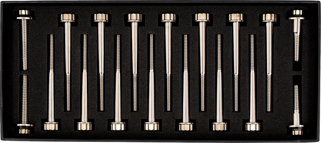 TRASK Bitchin' Bolts Hardware Kit - Titanium - M8 - Crankcase TM-1050-H
