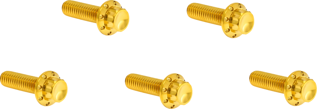 ARLEN NESS Bolt Kit - Derby Cover - 12-Point - Titanium - Gold 300-940