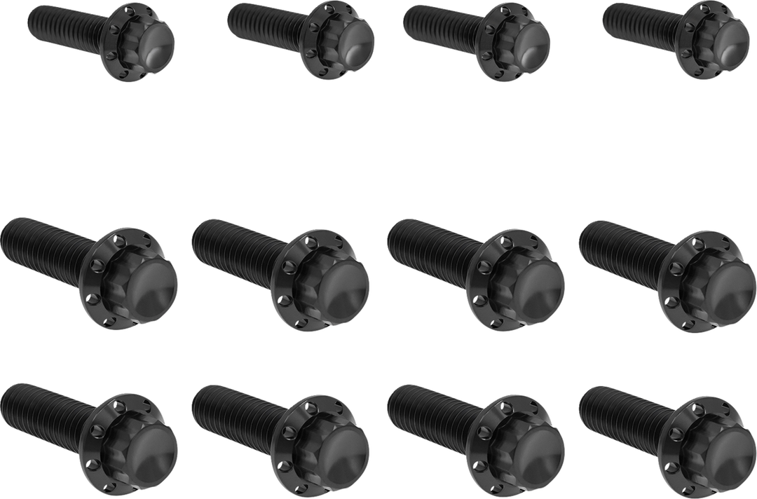 ARLEN NESS Bolt Kit - Transmission Side Cover/Trap Door - 12-Point - Titanium - Black 300-954