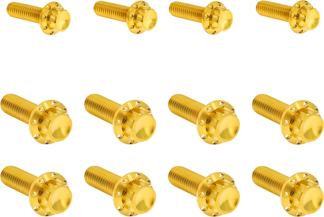 ARLEN NESS Bolt Kit - Transmission Side Cover/Trap Door - 12-Point - Titanium - Gold 300-955