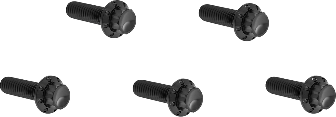 ARLEN NESS Bolt Kit - Derby Cover - 12-Point - Titanium - Black 300-939