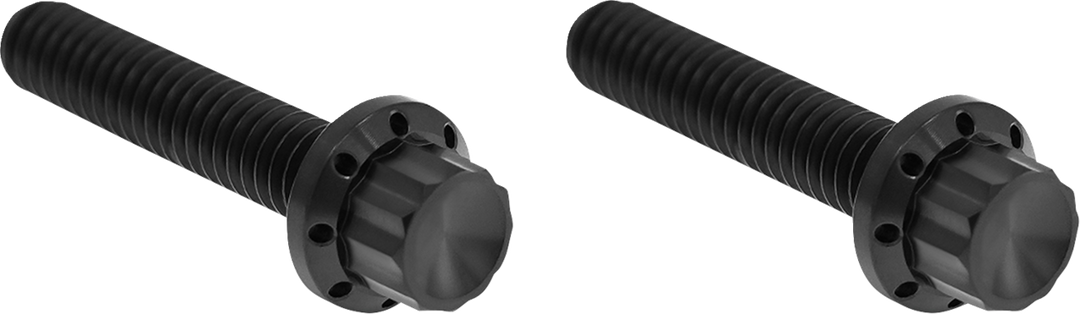 ARLEN NESS Bolt Kit - Hydraulic Clutch - Titanium - 12-Point - M8/Twin Cam - Black 300-707