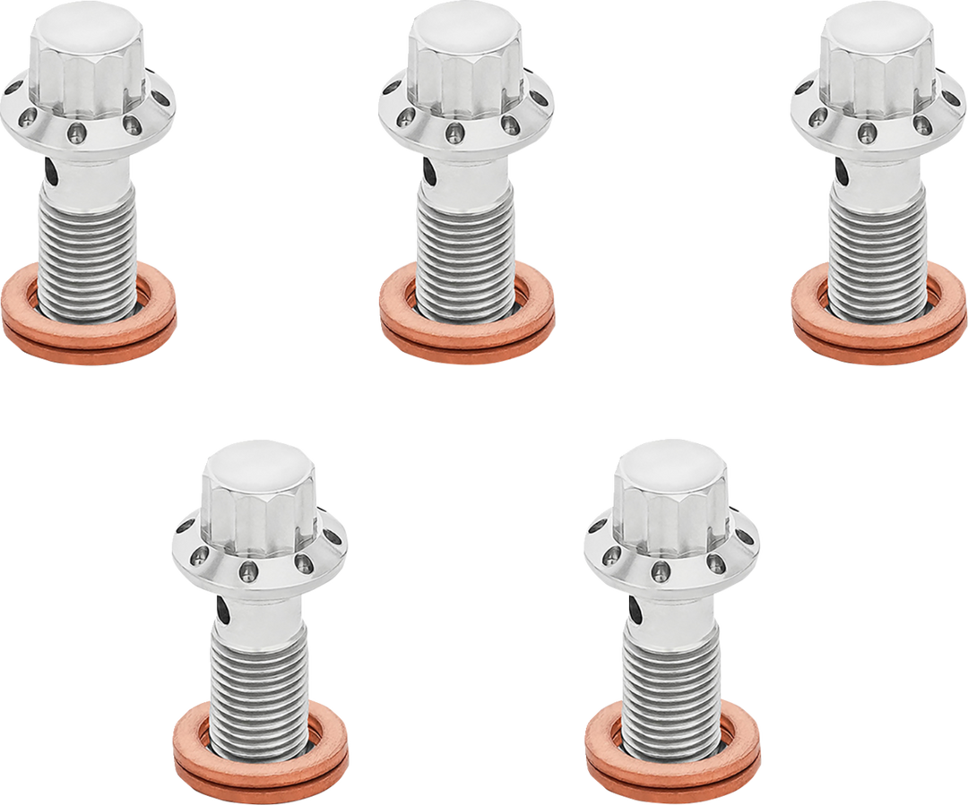 ARLEN NESS Banjo Bolt 5-Pack - 3/8"-24 - Polished 300-854