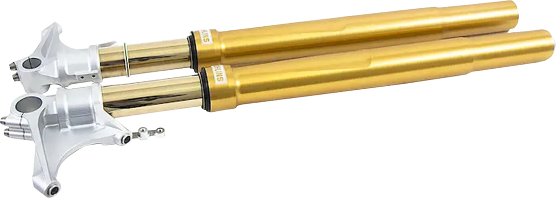 OHLINS Fork Cartridge Kit - 48 mm - Inverted - Gold (FGRT308) FGRT 308