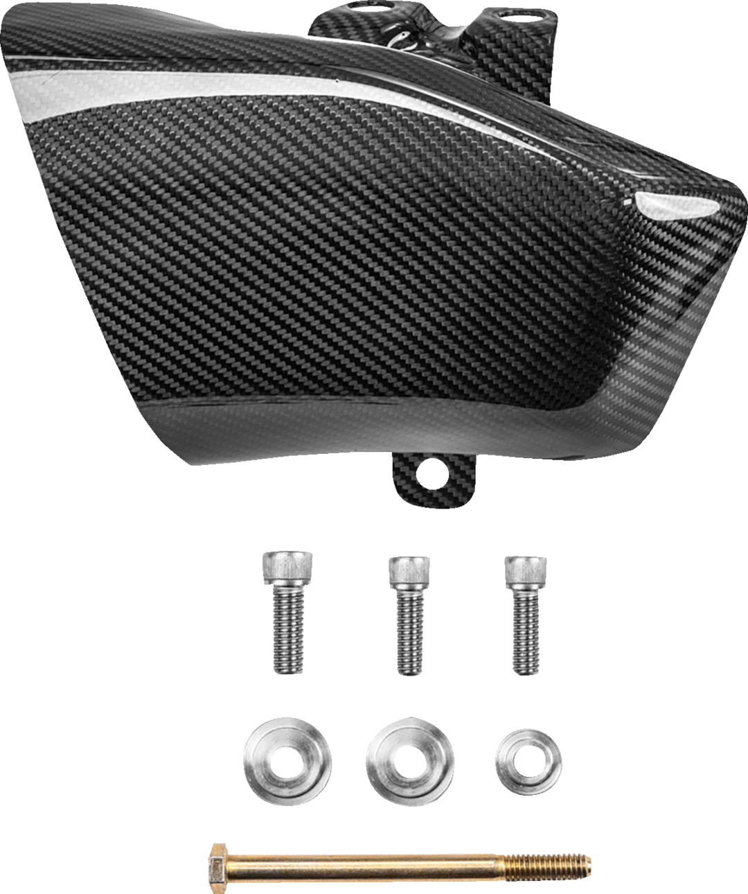 SADDLEMEN Air Scoops - Carbon Fiber/Gloss - HD Trike/Touring CF-817-07-001