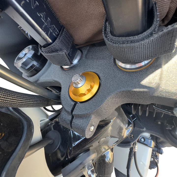 PAUL YAFFE BAGGER NATION Steering Stem Nut - Gold PYO:12PSK-18L-GD
