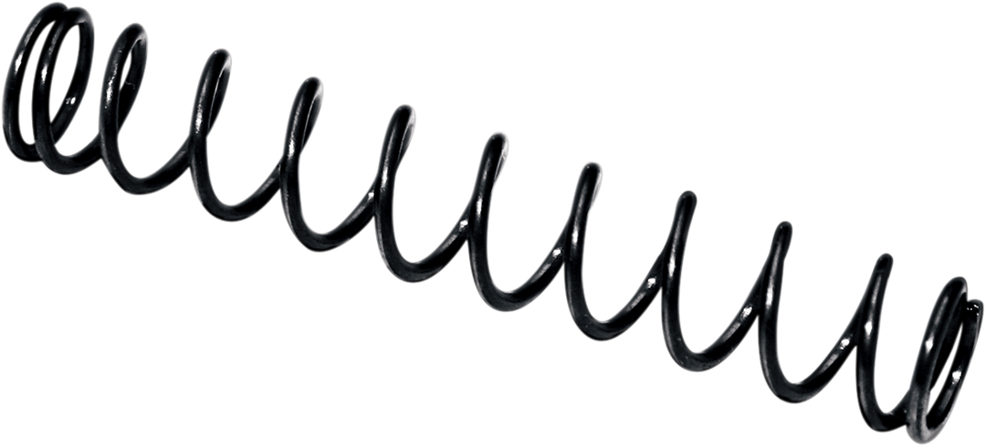 FEULING PARTS Camplate Pressure Relief Spring - Twin Cam Engine Camplates '99-'17 8019