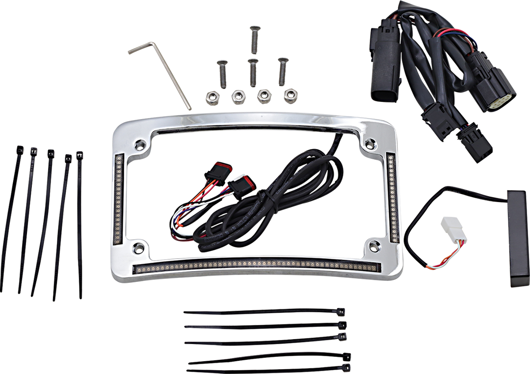 CUSTOM DYNAMICS Radius License Plate Frame - Chrome TF05-SS6-C