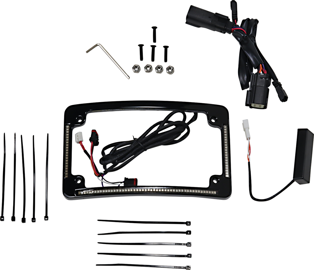 CUSTOM DYNAMICS Radius License Plate Frame - Black TF05-BCM4-B