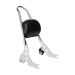 Chrome Detachable Sissy Bar Backrest for Harley® Sportster '04-'22