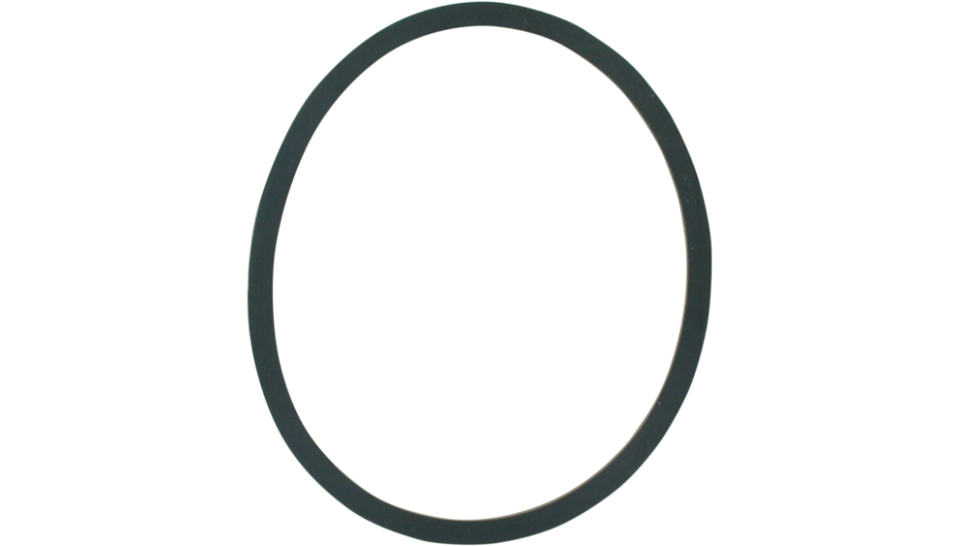 FLO Replacement FLO Oil Filter Seal Ring