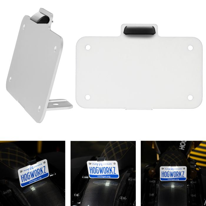 Seat Bolt LED Upright License Plate Mount for Harley® Motorcycles - Chrome