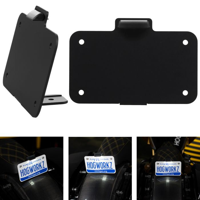 Seat Bolt LED Upright License Plate Mount for Harley® Motorcycles