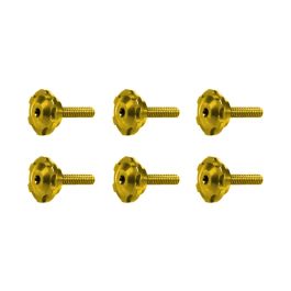 Custom Color Windshield Bolts for Harley® Low Rider ST '22-'26
