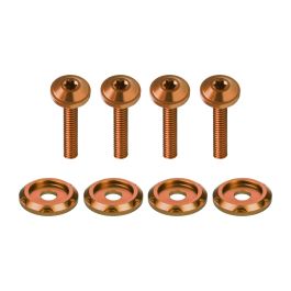 Custom Color Windshield Bolts for Harley® Road Glide '15-'23