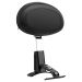 Chrome Driver/Rider Backrest for Harley® Touring '97-'23
